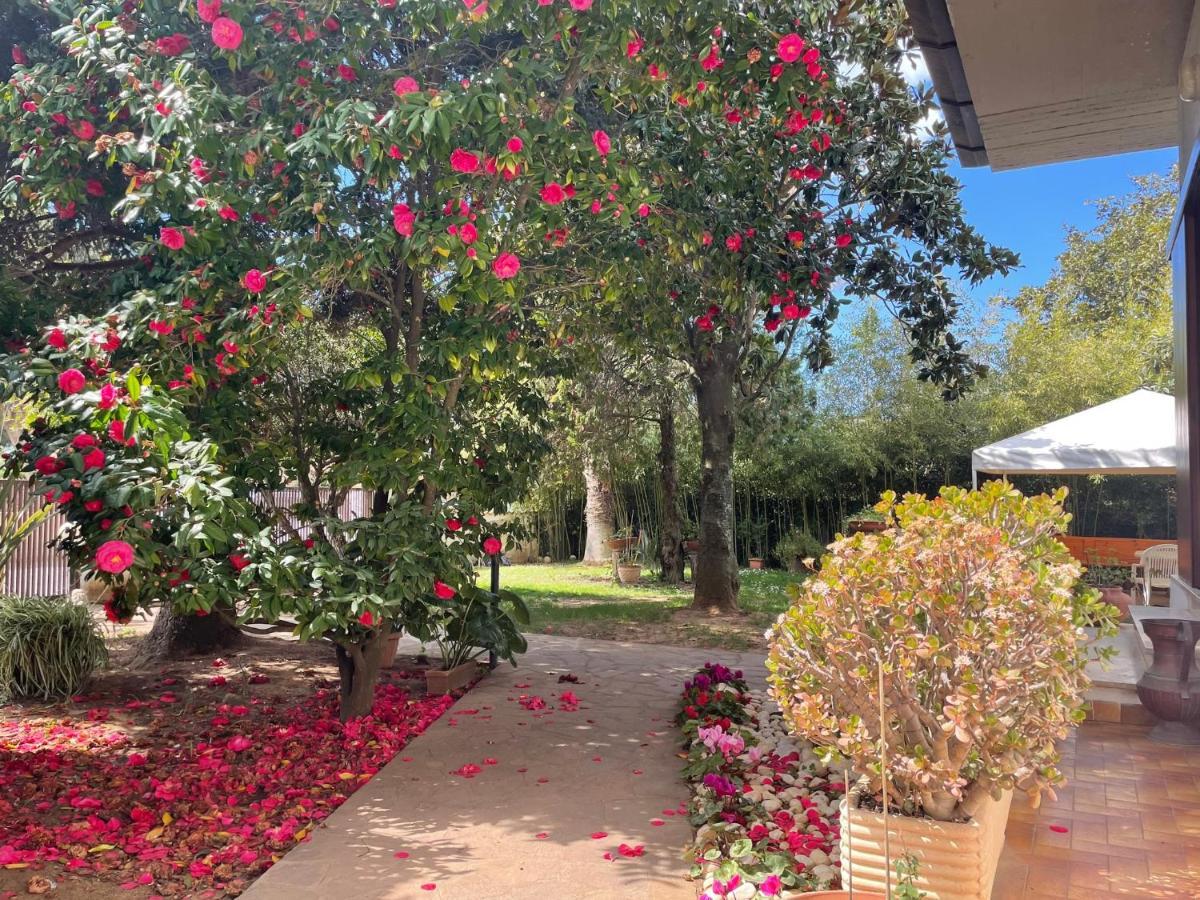 Appartamento In Villa Con Giardino Vicino Al Mare Bella Farnia Exterior foto