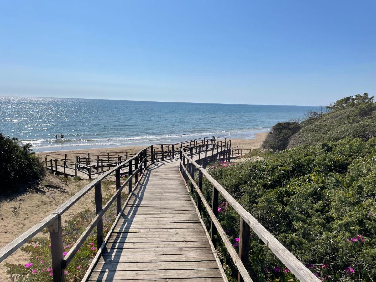 Appartamento In Villa Con Giardino Vicino Al Mare Bella Farnia Exterior foto
